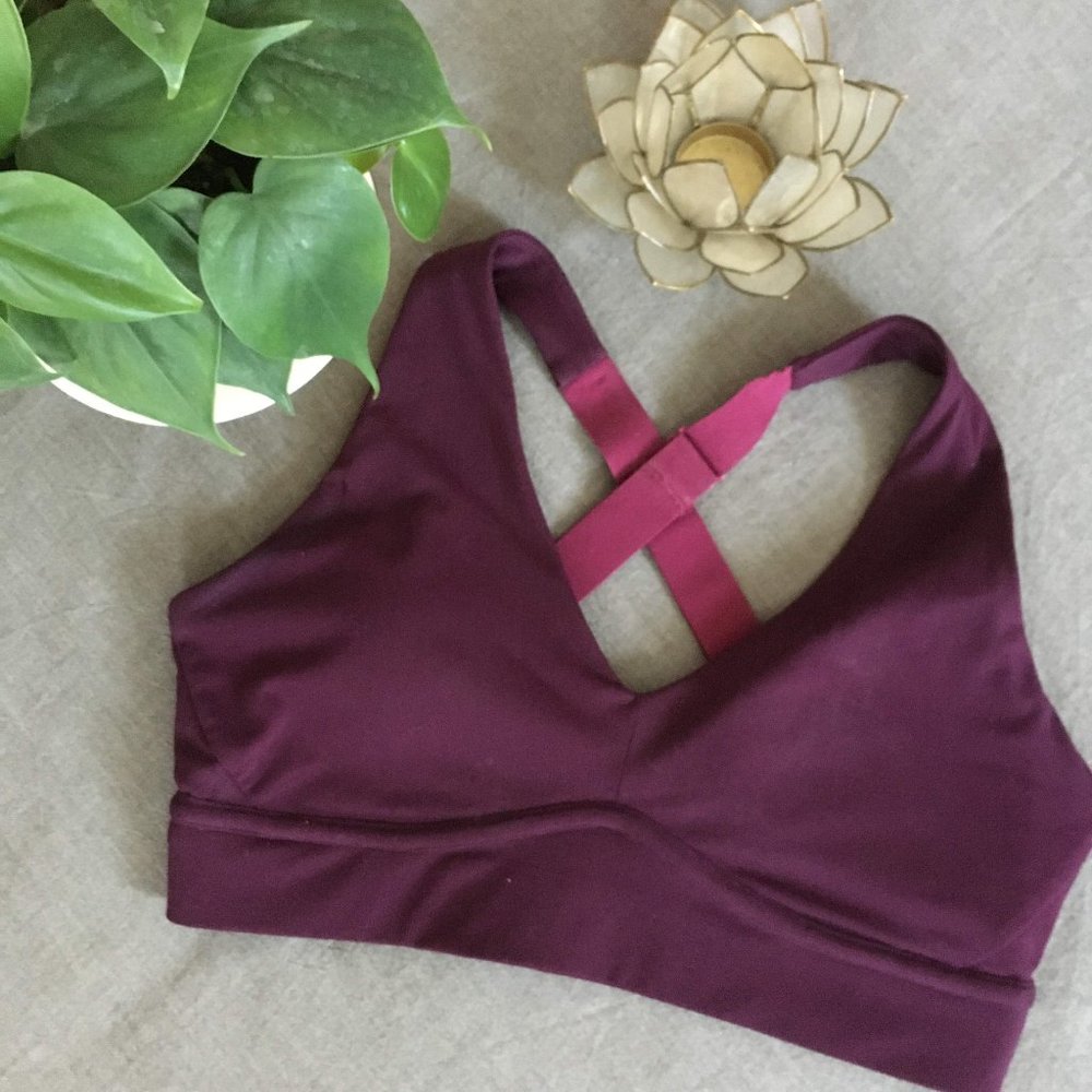 Fabletics Sports Bra